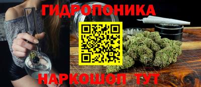 шишки Гагарин