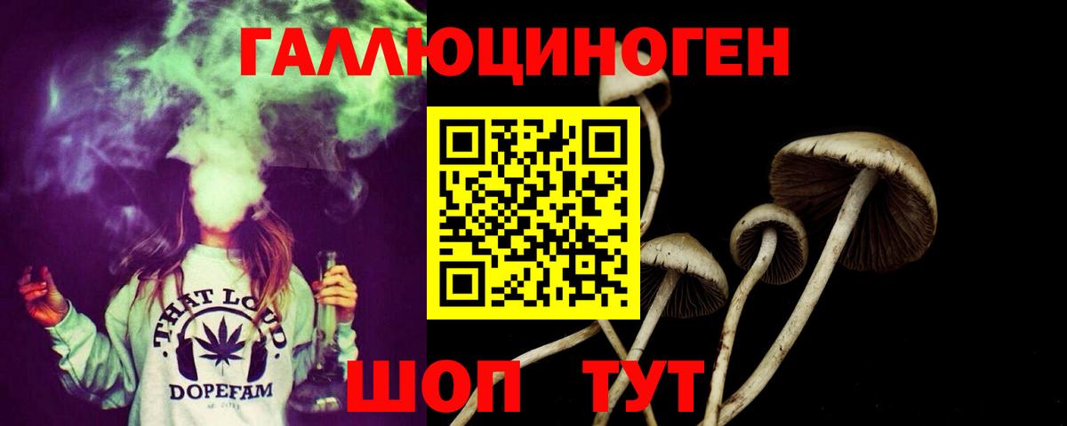 Галлюциногенные грибы Cubensis  Галлюциногенные грибы Cubensis  Вход с VPN  Карачаевск 